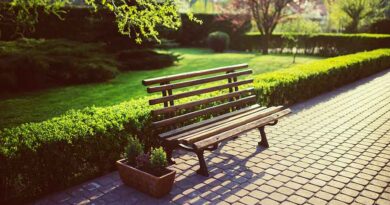 haie jardin